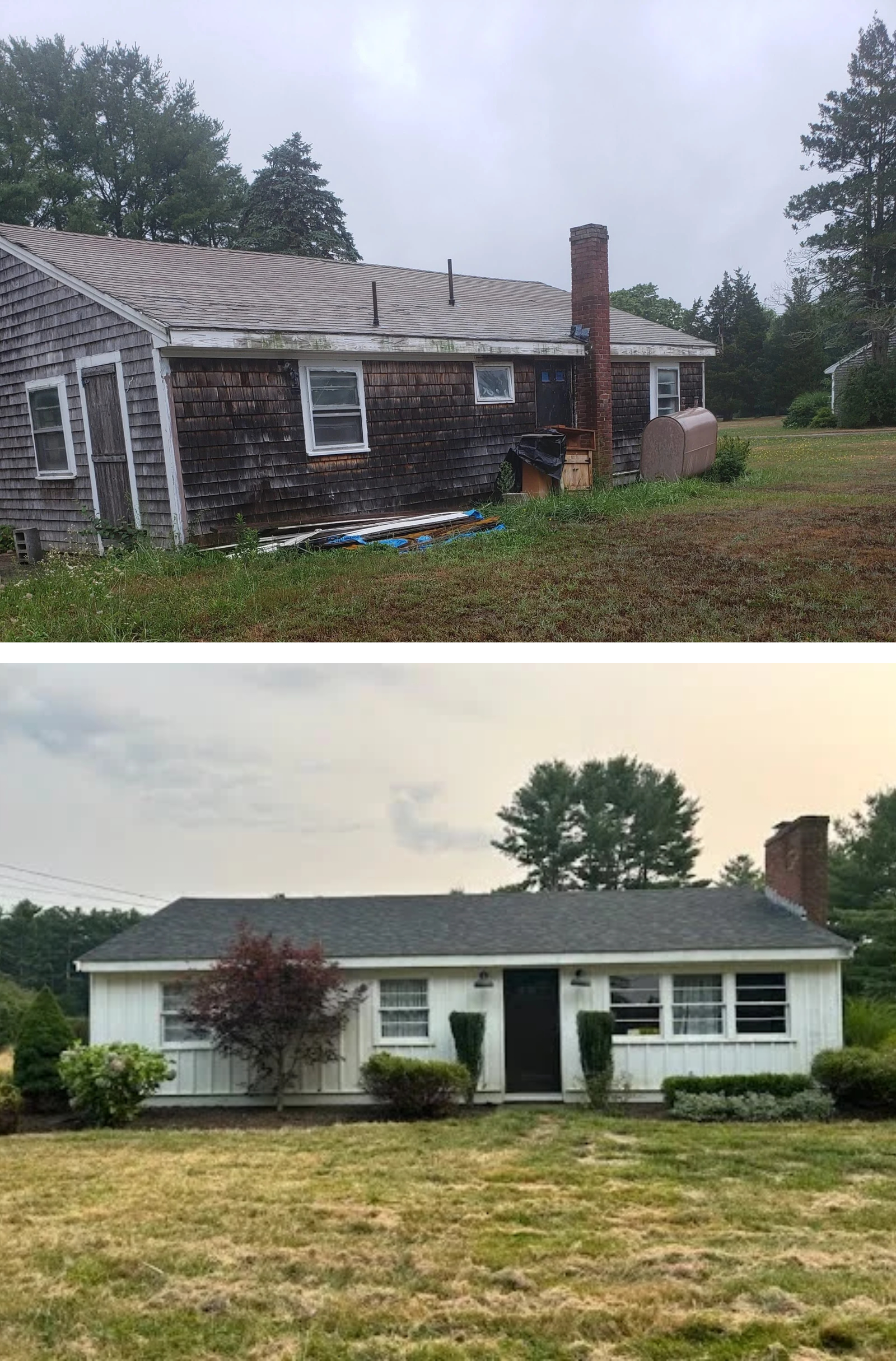 20200816 150219 scaled 1 - Dana Chiles - Owner at Daisher Chiles Companies Ltd